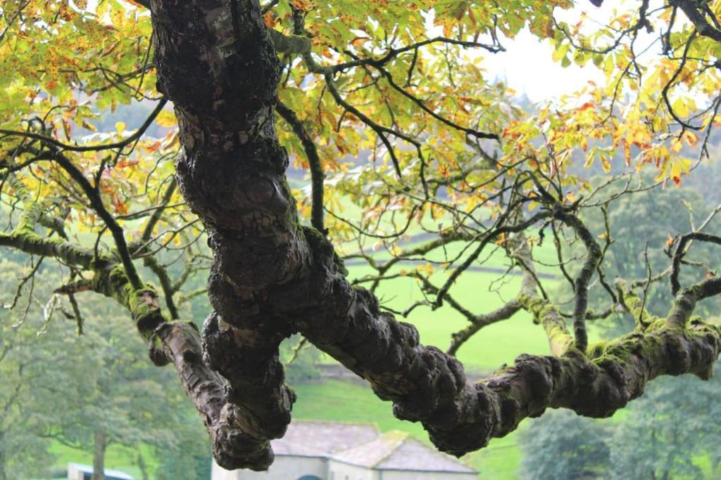 Folly View - Private, Peaceful Apartment With Stunning Views. Pateley Bridge Luaran gambar
